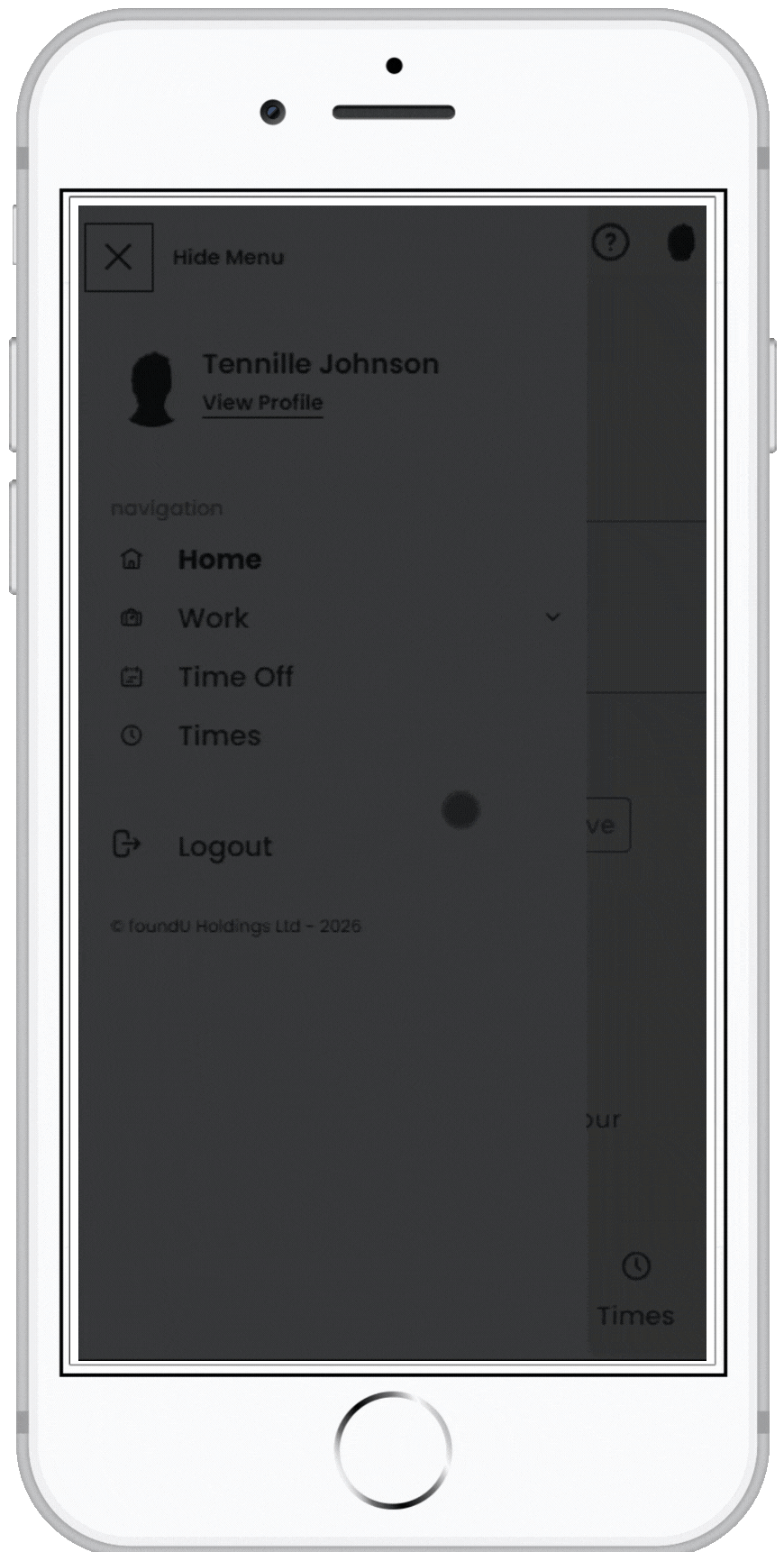 Update custom fields.gif