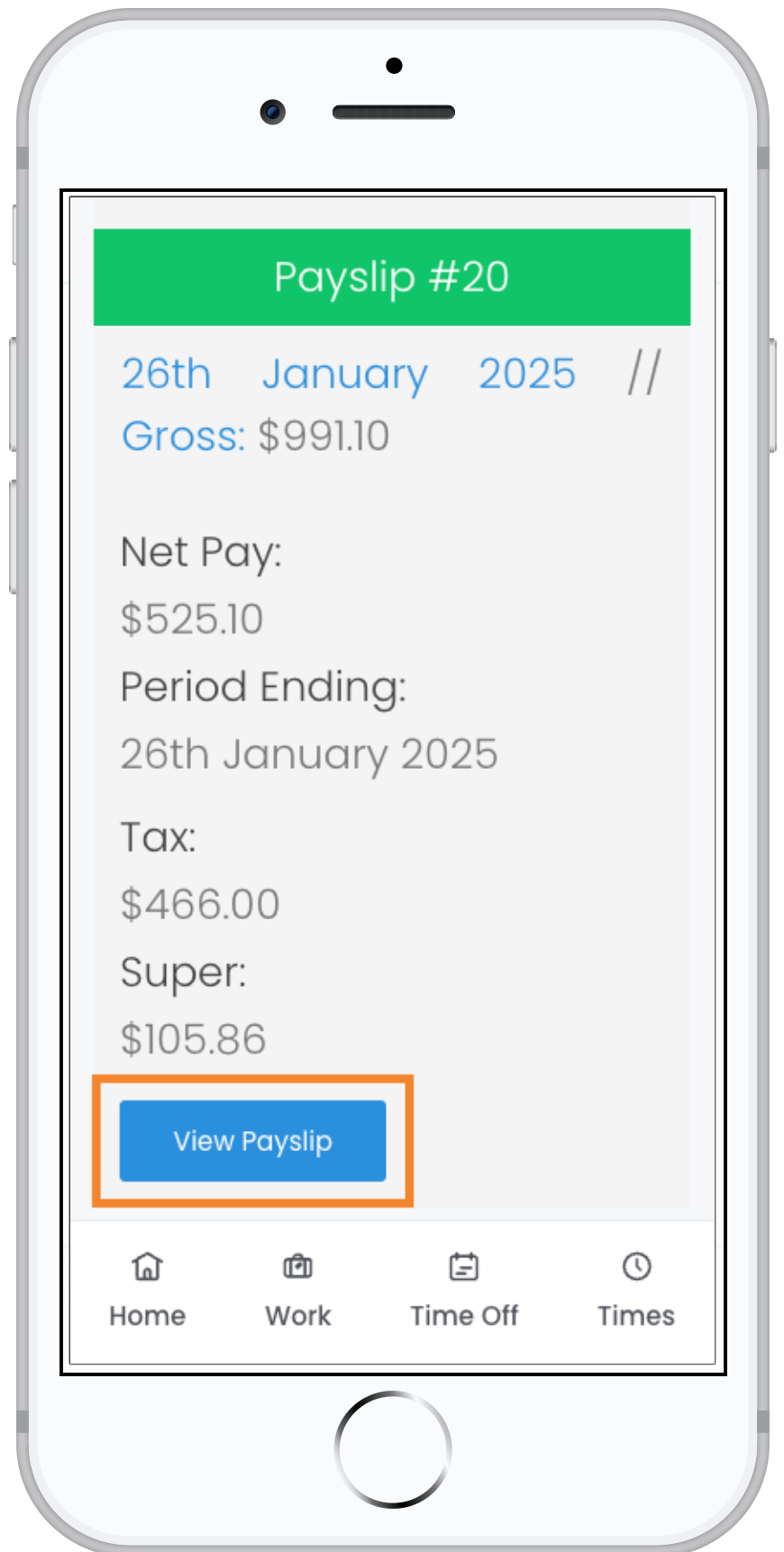 Payslip_screen_2.png