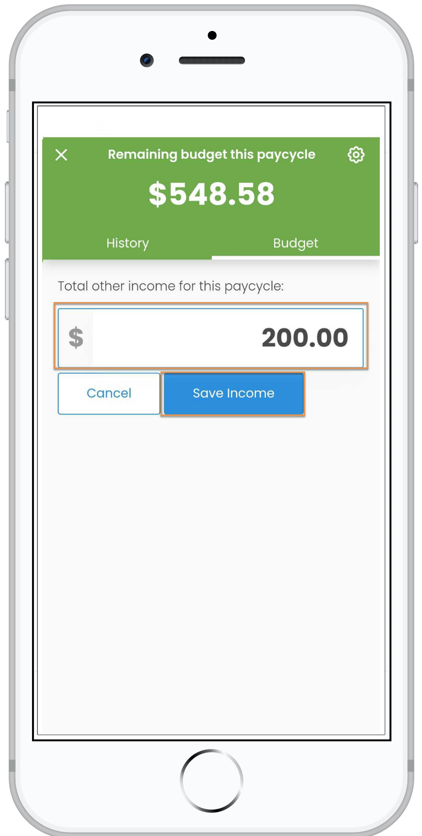 Income_example_1.png