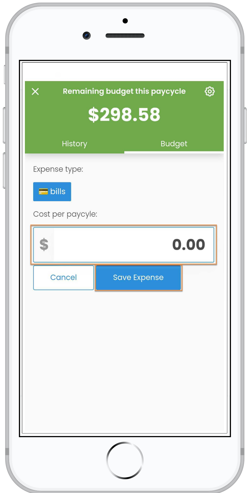 Remove_expense_example_1.png
